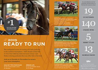 NZB 2019 Ready to Run Sale Catalogue Online!